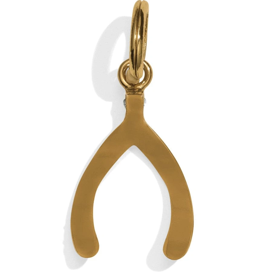 Wishbone Amulet - Image 2